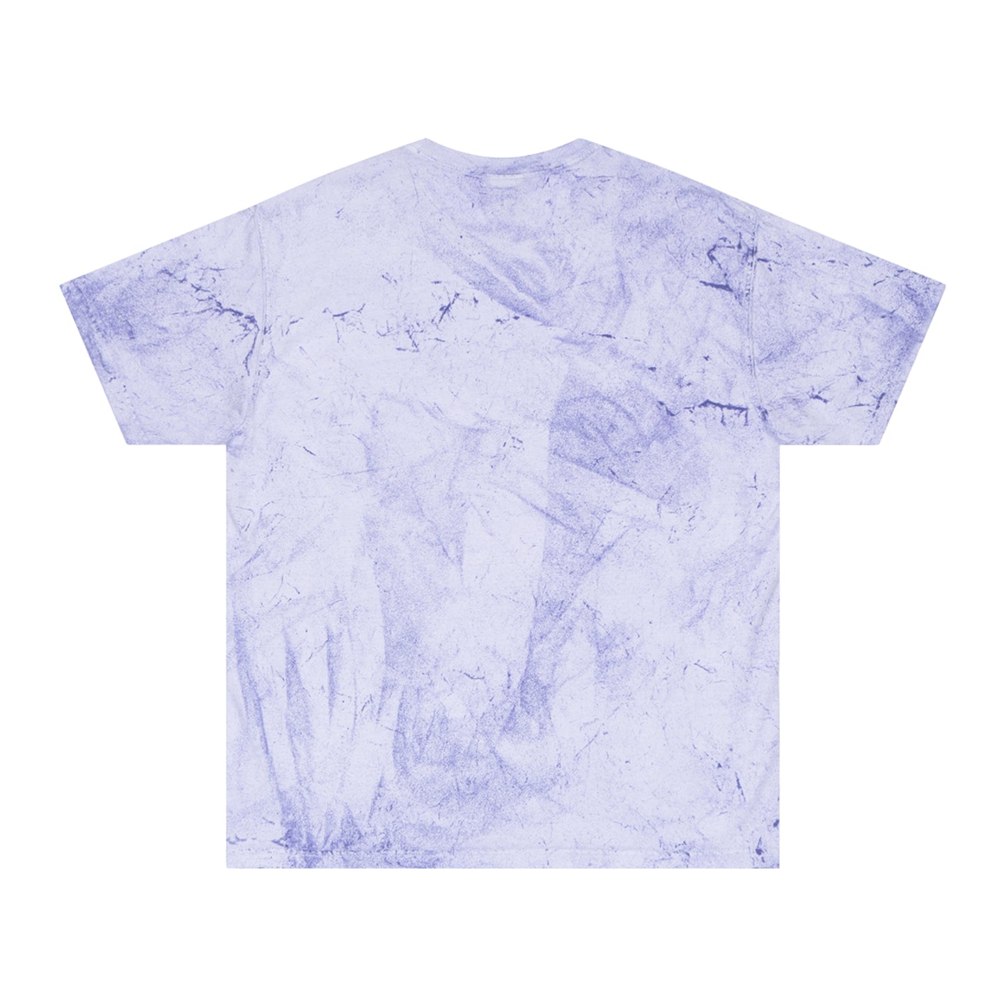 Silence the B**** in Your Mind — Acid Wash Tee